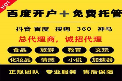 成功sem公司的策略与执行